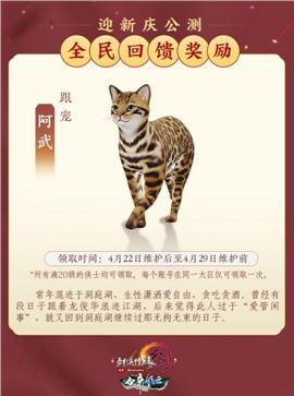 电脑176天龙八部私服